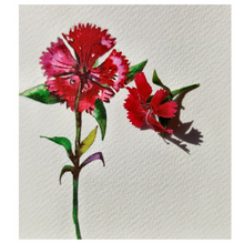 Load image into Gallery viewer, Junior Group (Age 8 to 11yrs)